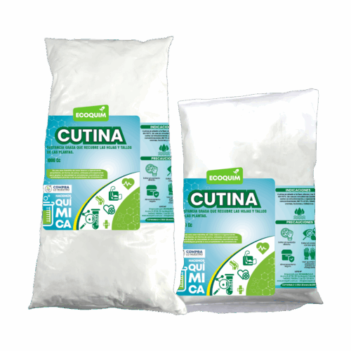Cutina